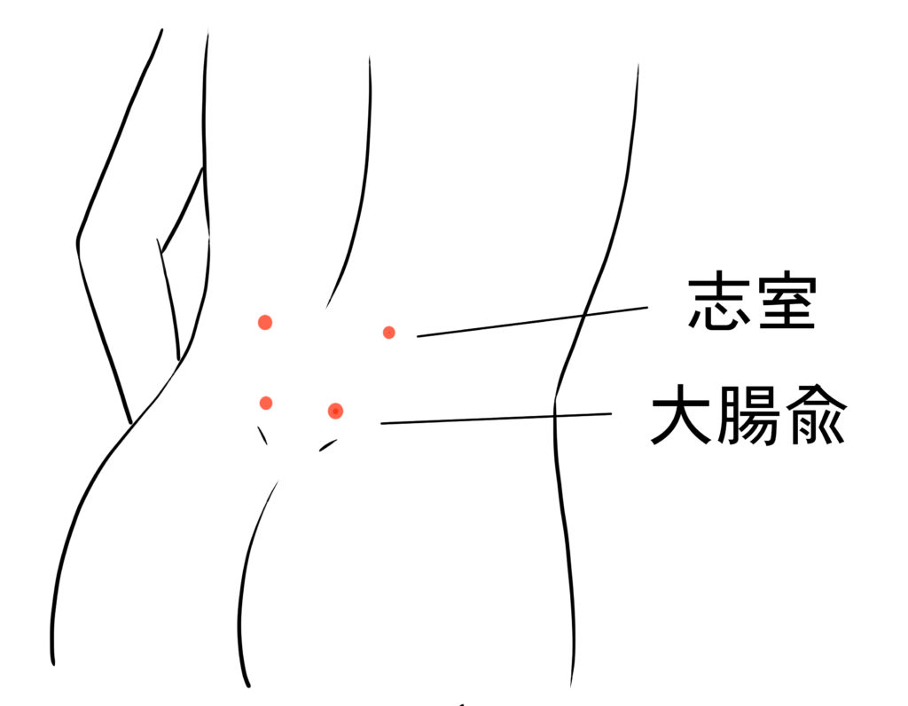 ぎっくり腰の鍼灸治療で用いるツボの図